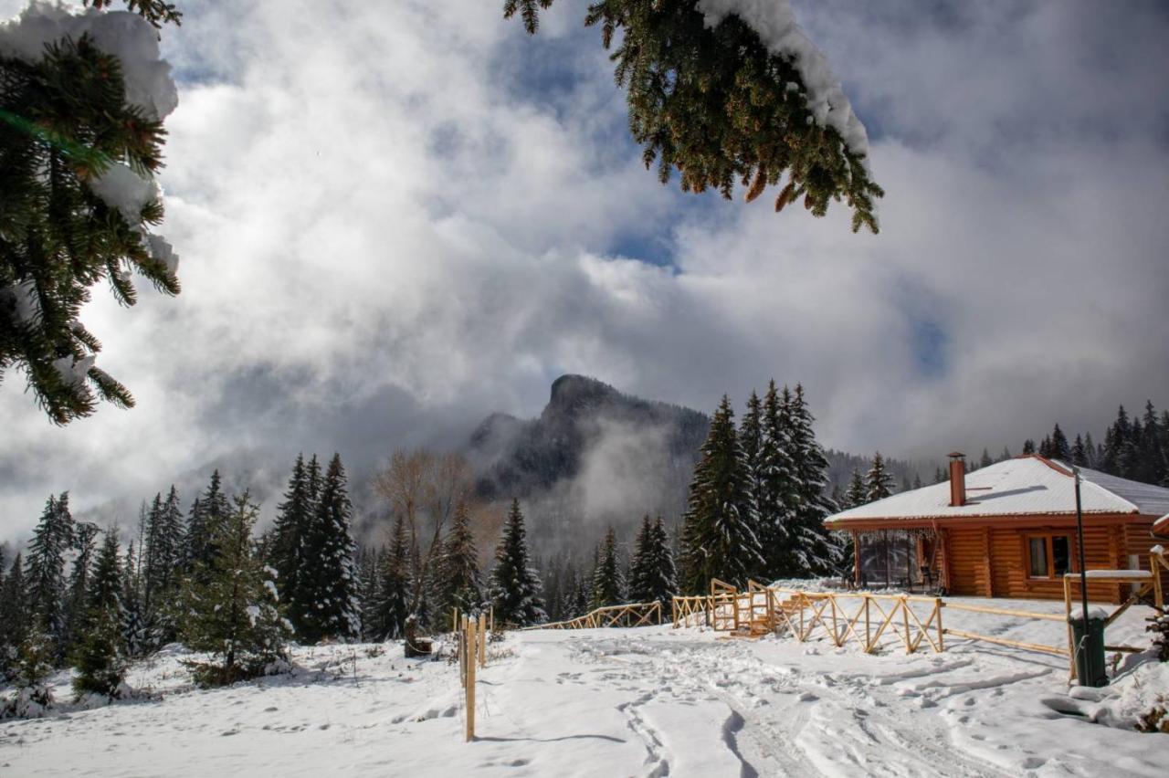 Вила Морава Pamporovo Exteriör bild