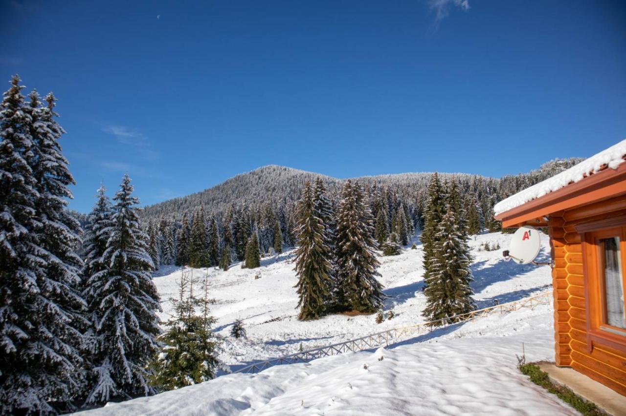 Вила Морава Pamporovo Exteriör bild